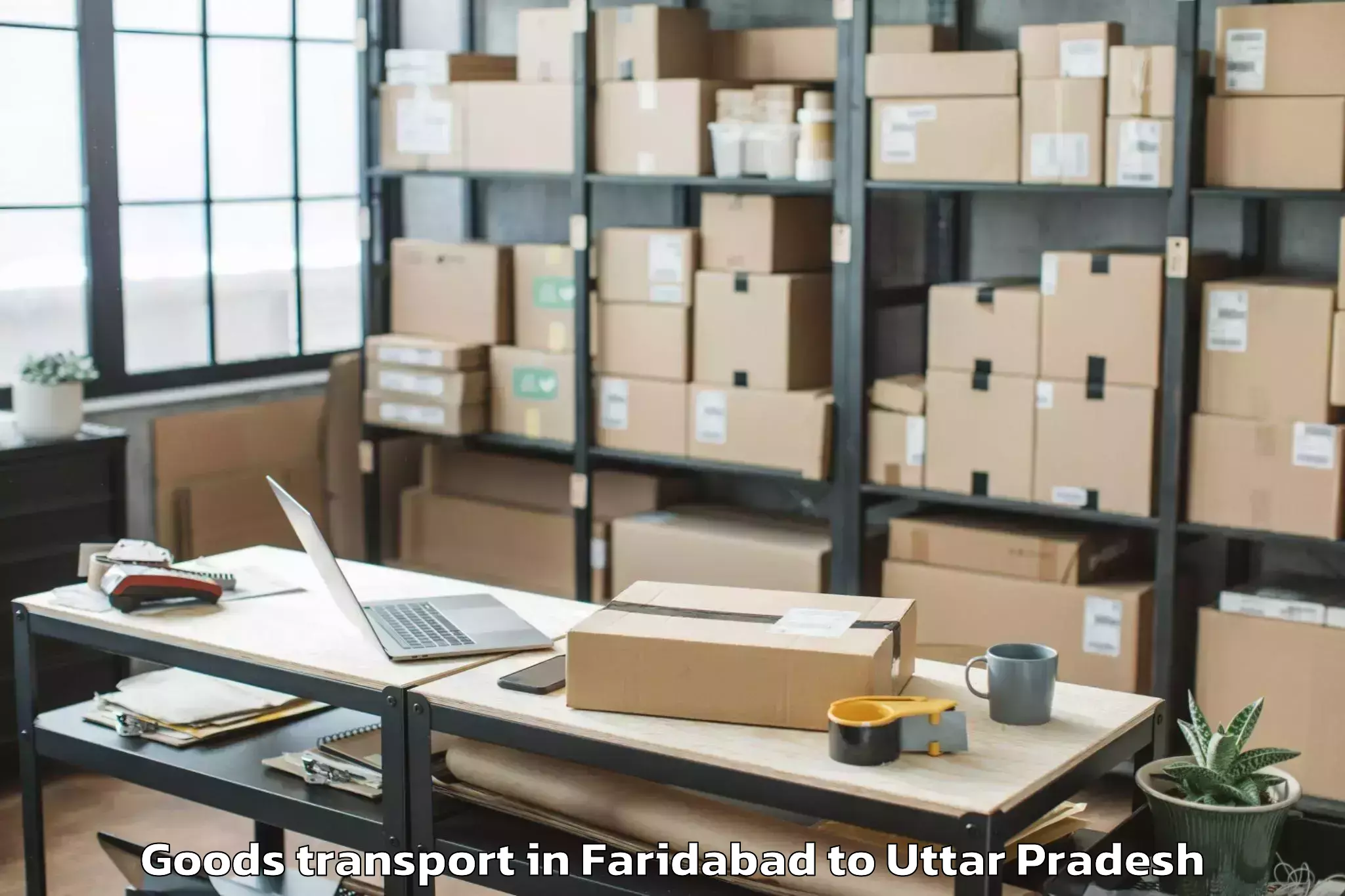 Quality Faridabad to Khurja Goods Transport